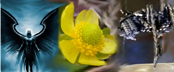 The Many Forms of Life